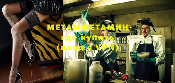 ПСИЛОЦИБИНОВЫЕ ГРИБЫ Каменка