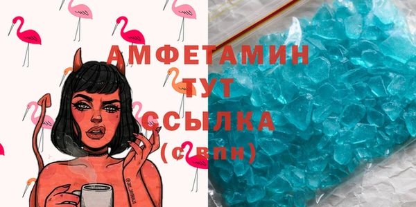 ПСИЛОЦИБИНОВЫЕ ГРИБЫ Каменка