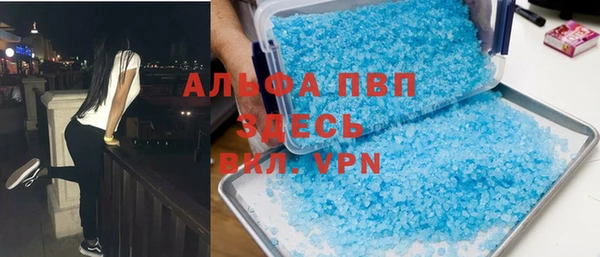 СК Каменногорск