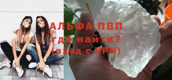 ПСИЛОЦИБИНОВЫЕ ГРИБЫ Каменка