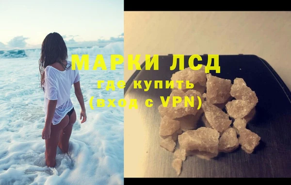 СК Каменногорск