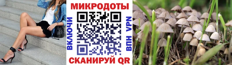 где найти наркотики  Собинка  Галлюциногенные грибы MAGIC MUSHROOMS 