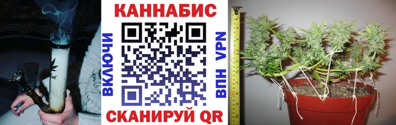 МАРИХУАНА SATIVA & INDICA  Собинка 